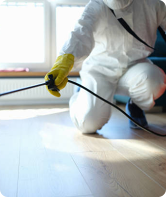 Une personne portant un équipement de protection et des gants jaunes est agenouillée sur un sol en bois, pulvérisant une substance, probablement pour lutter contre les parasites ou pour désinfecter à l'intérieur, près d'une fenêtre éclairée par le soleil.