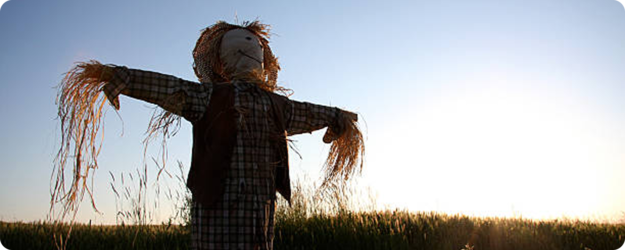 Un épouvantail avec un chapeau de paille et une chemise à carreaux se tient dans un champ d'herbes hautes au coucher du soleil, dans un ciel clair et lumineux.
