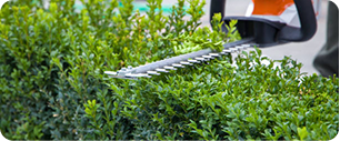 haies Une personne utilise un taille-haie électrique pour donner une forme nette aux buissons verts dans un jardin.