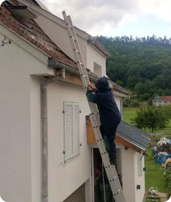 Intervention de 4D Est contre les guêpes et frelons dans le Haut-Rhin