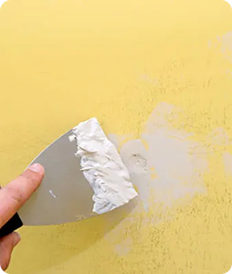 Prevention & proofing (colmatage des accès, conseils)