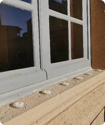 Gel répulsif anti-pigeons appliqué sur une surface de bâtiment afin d'éloigner durablement les pigeons.